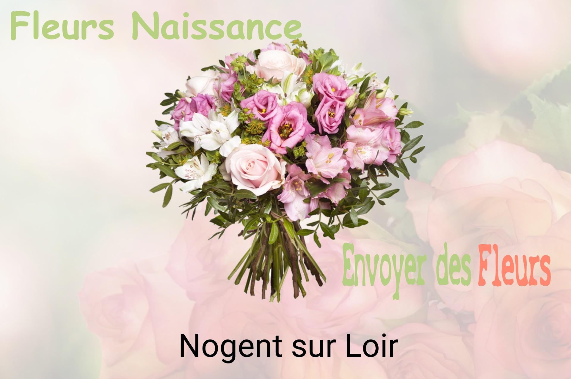 Bouquet de fleurs de naissance livré à Nogent-sur-Loir